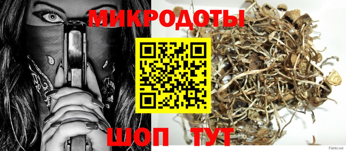 Псилоцибиновые грибы Cubensis Ленинск-Кузнецкий
